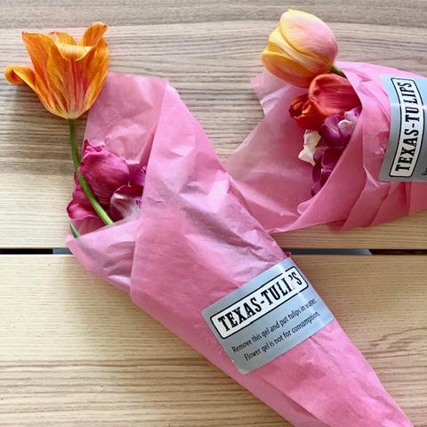 Texas Tulips is Open for your 2021 U-Pick Experience! What You Need to Know