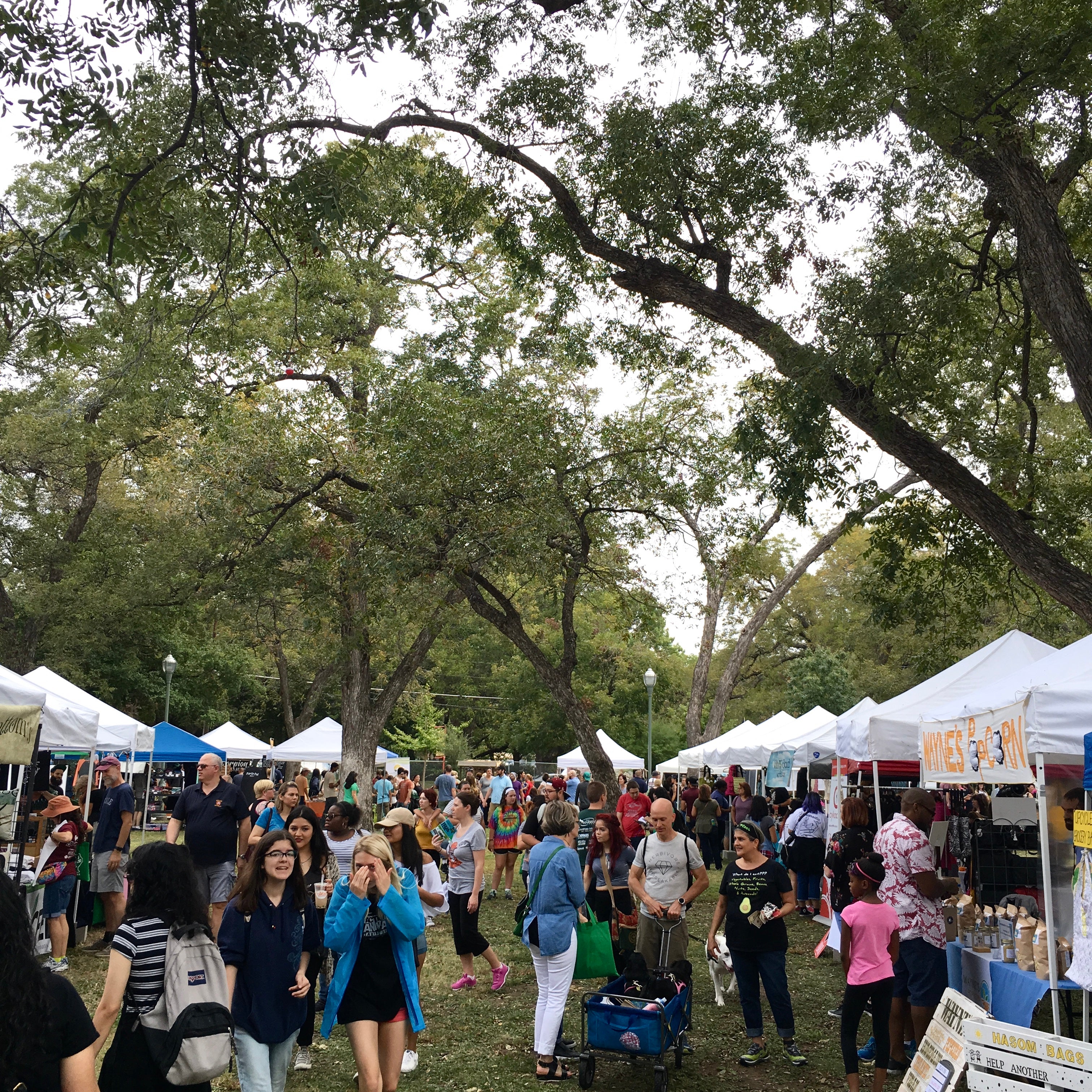 Vegan Fest in Dallas Coming this Saturday at the 2018 Texas Veggie Fair!