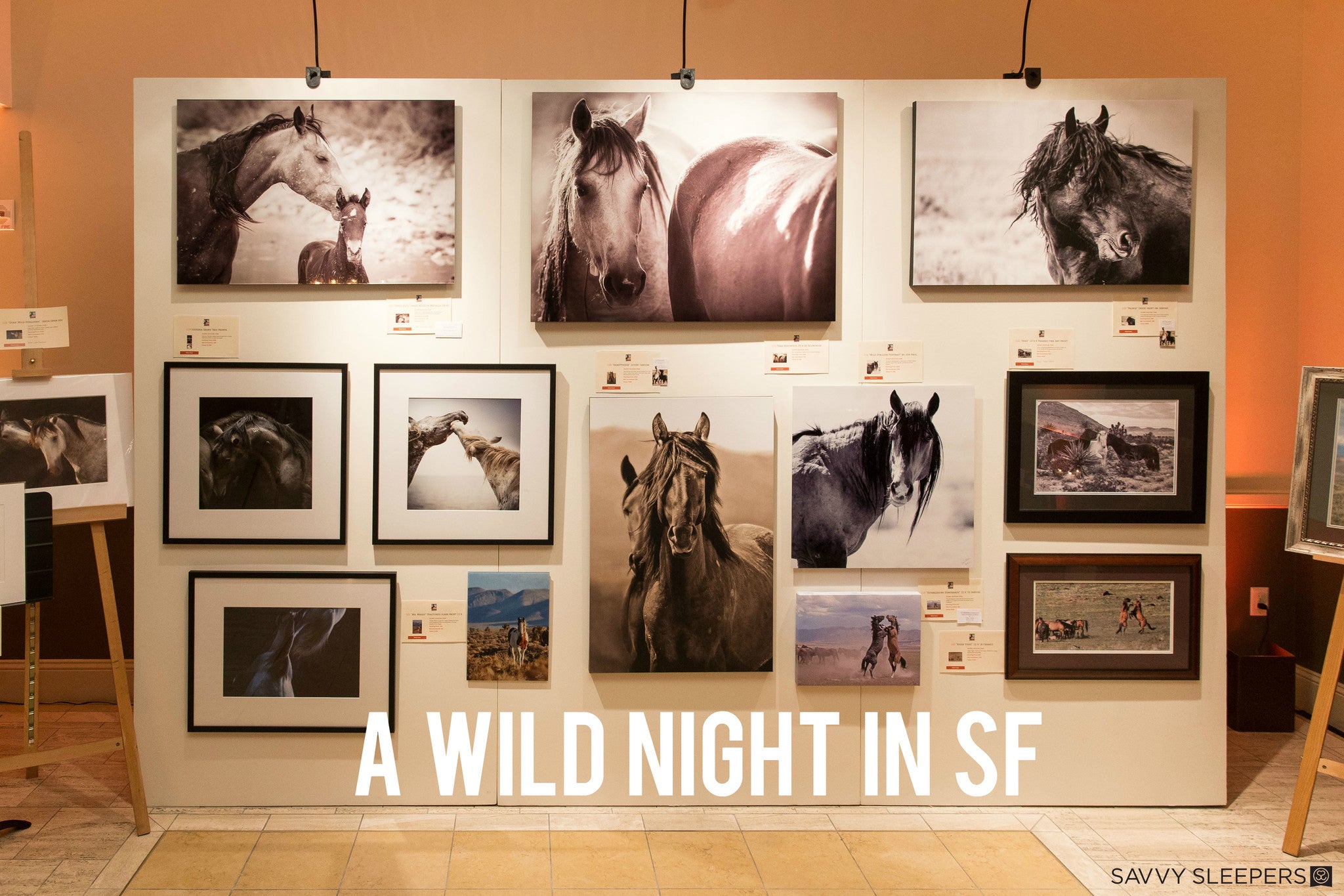 A WILD Night in SF