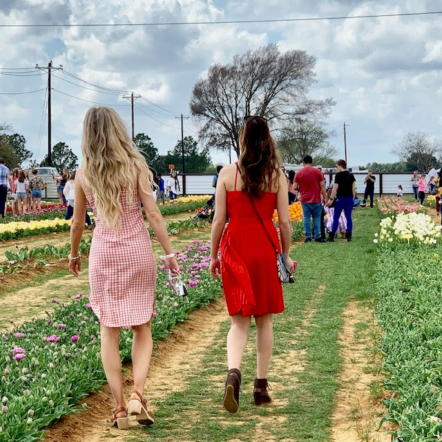 Perfect Blow Outs Spotted at Texas Tulips! Plus 6 Tips for Your Tulip Field Photoshoot