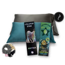 Mystery box flat lay: satin pillowcases, Savvy Scrunchies and Lollipop Star music lollipops